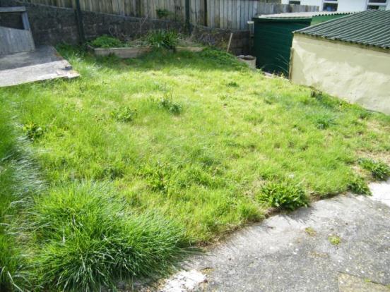 Garden New