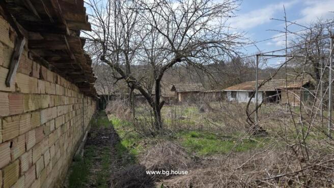 Garden area featuring leafless trees and multiple outbuildings with tiled roofs behind a brick wall