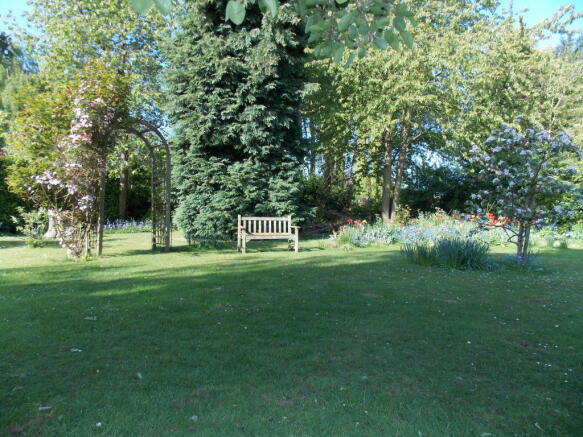 Photo 17