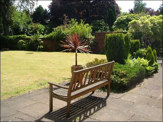 South facing garden