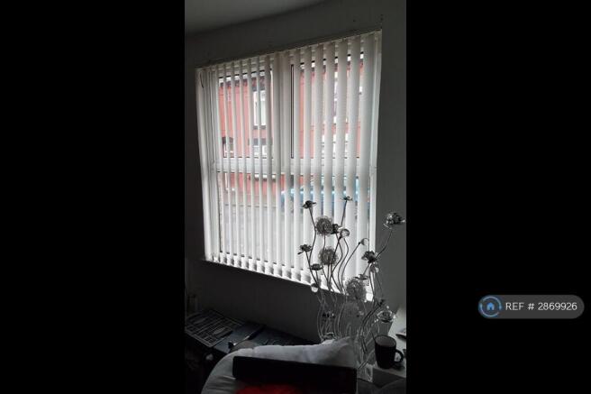 Front Window