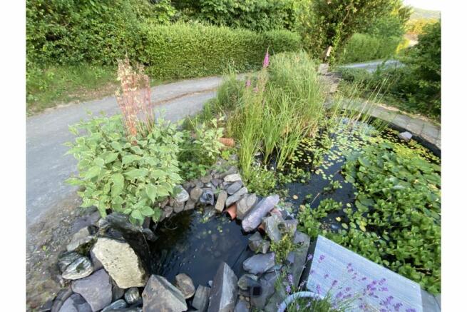 Pond