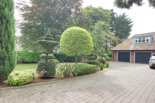 Driveway