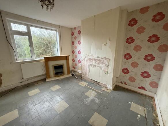 IMG 1489 T202601221455.jpeg