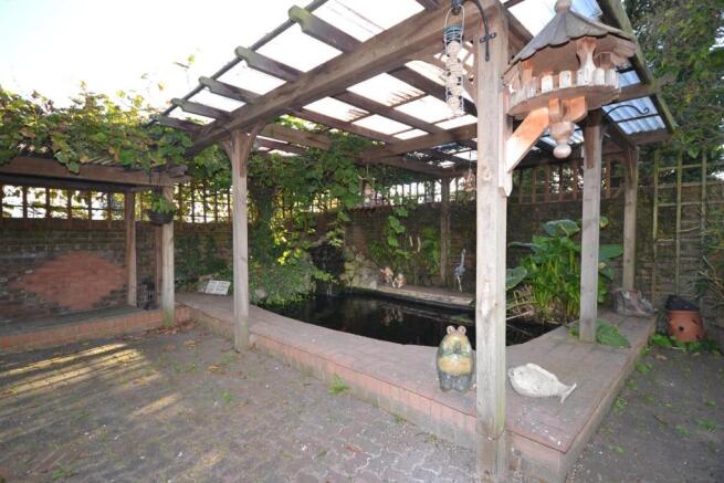 Pond