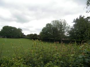 Fields To Rear