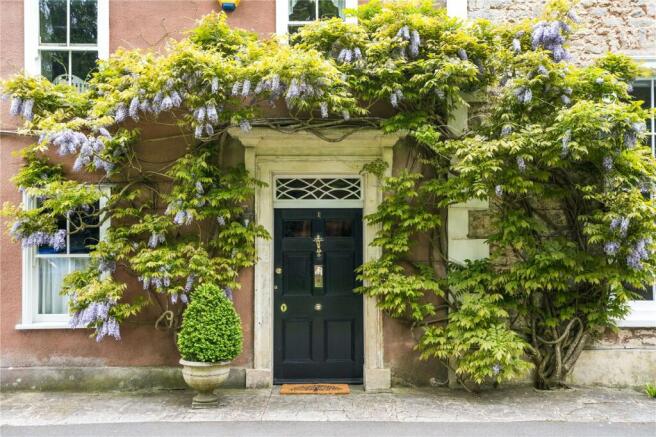 Wisteria
