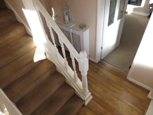 Photo13