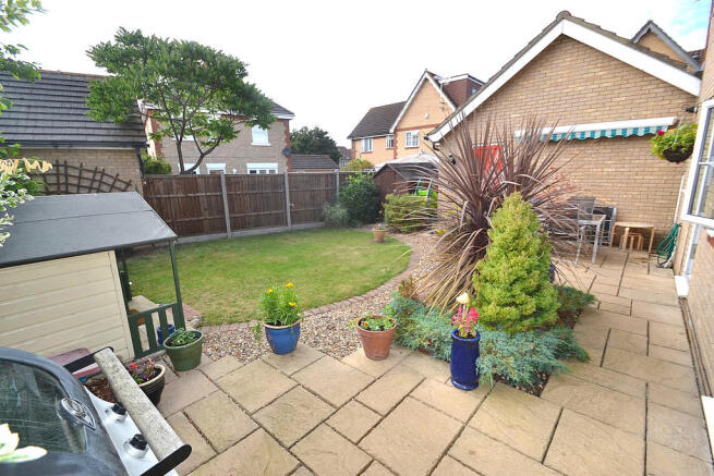 Photo 11