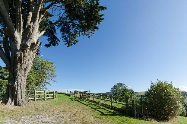 Paddocks