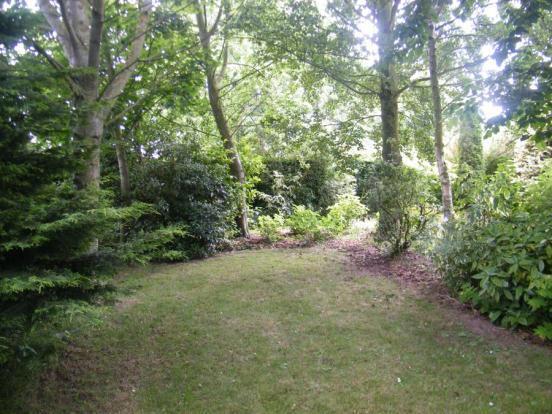 Woodland