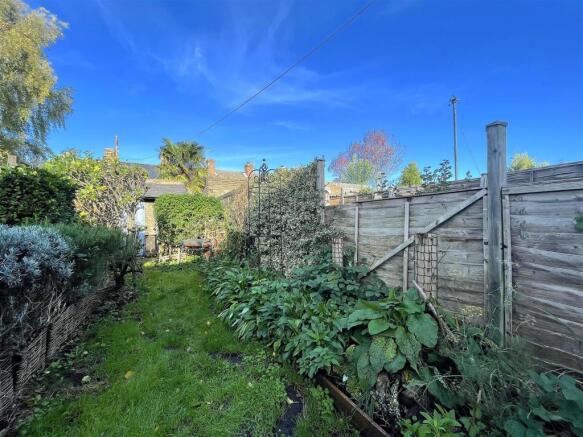 Garden (3).jpeg