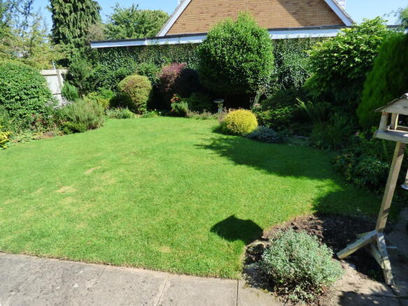 Photo 10