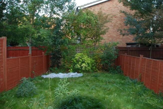 Photo 6