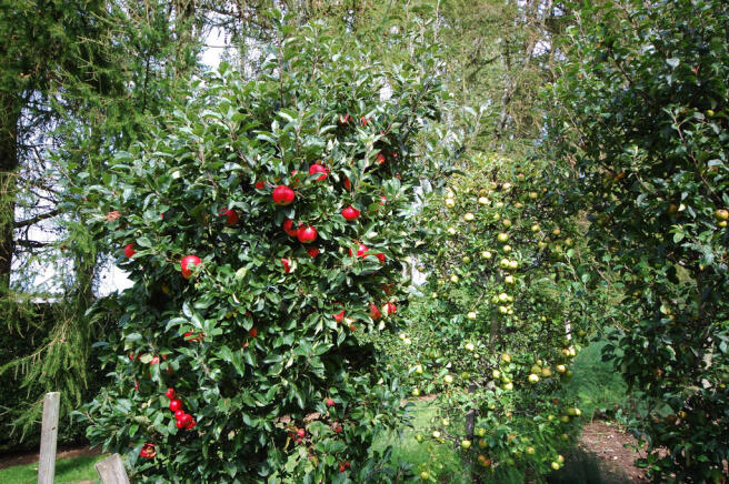 Photo 25