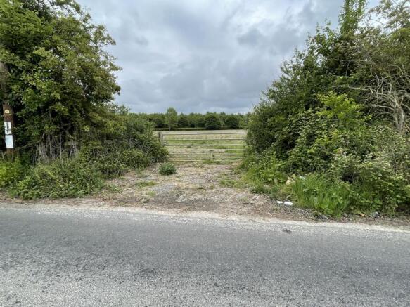 IMG 2327 T202505221409.jpeg