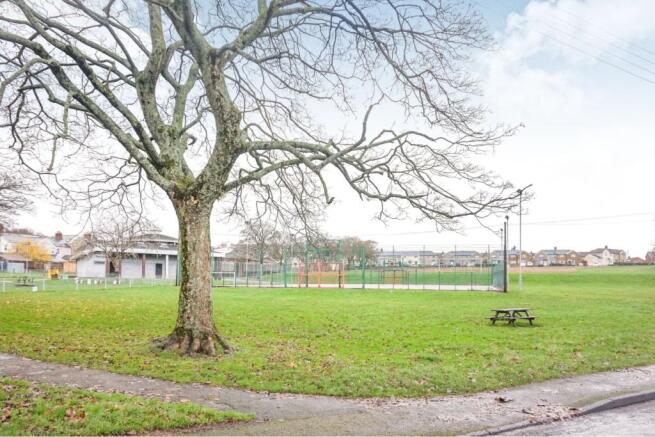 The Park