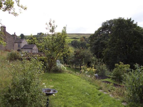 Image 10