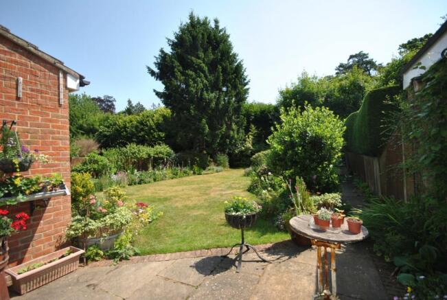 Garden Shot 2