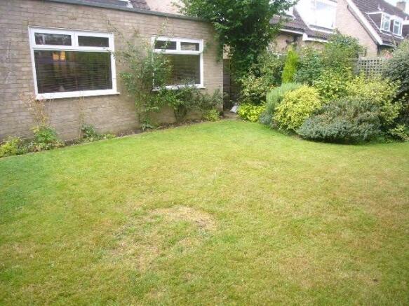 Pretty Garden