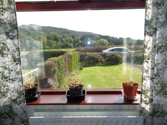 Lounge view