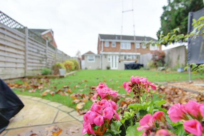 garden 4.jpg