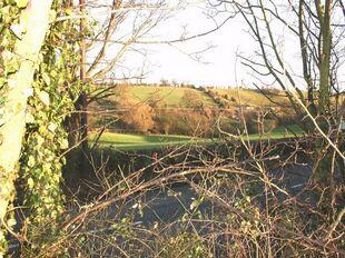 Picture 9