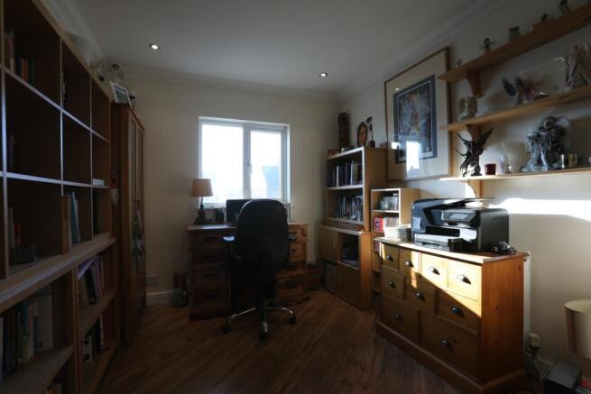 IMAGE 12
