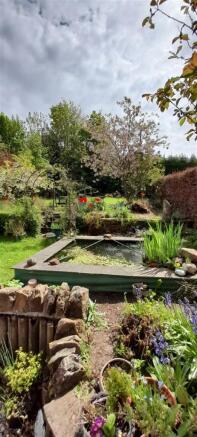 Garden 3.jpg