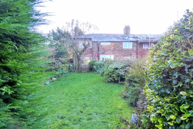 Garden 4