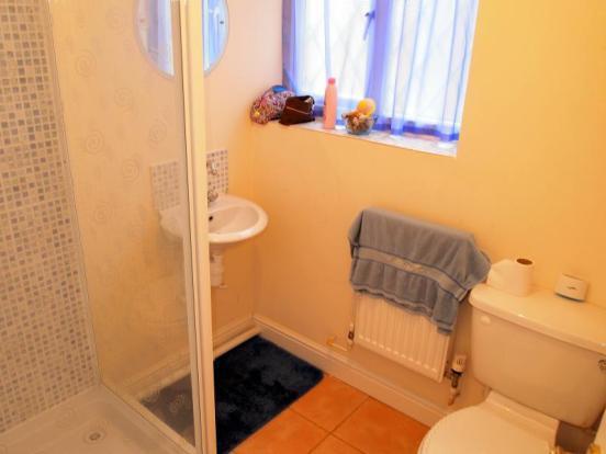 Downstairs Shower