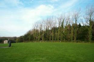Side and Rear Garden