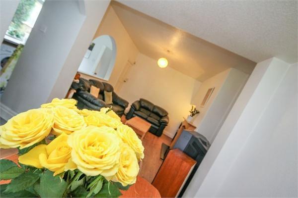 Dining Area Detail