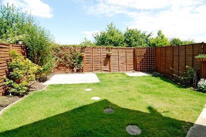 Garden Photo