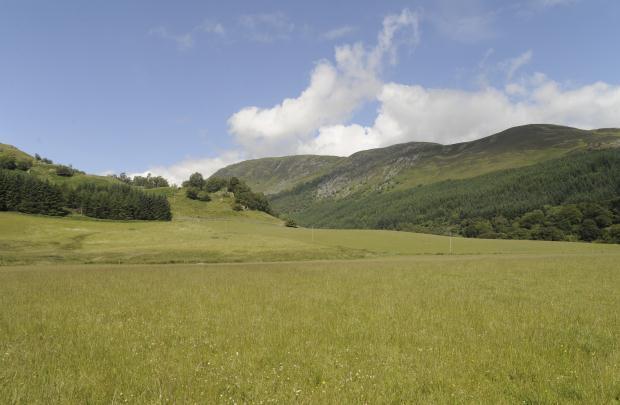 Picture No.14