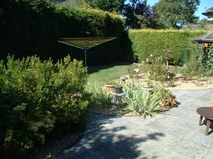 Garden Shot 1