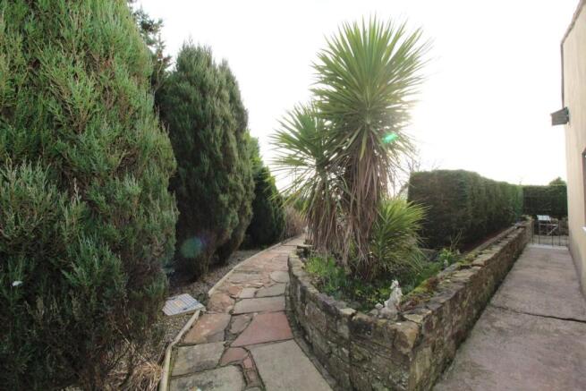 Side Garden