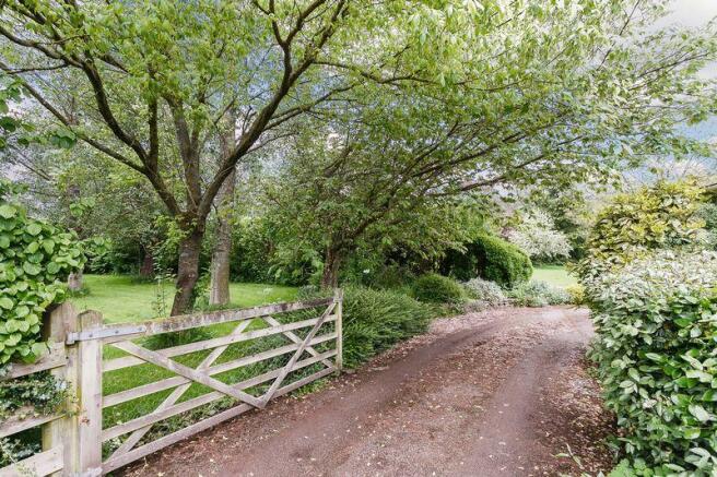 Driveway