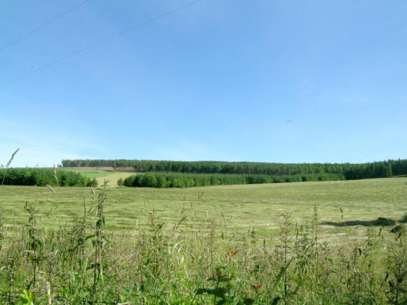 View from Front