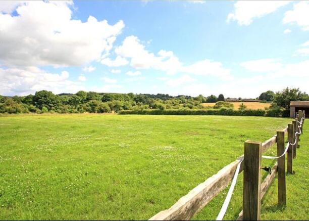 Field