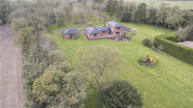 Aerial Shot