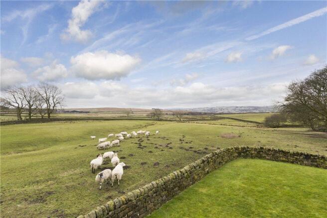Stunning Views