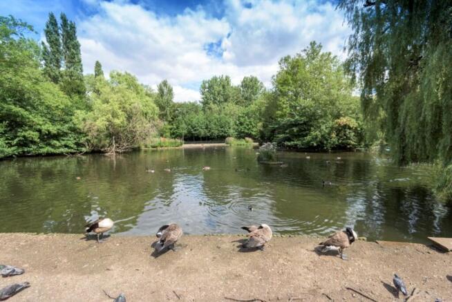 Peckham Rye