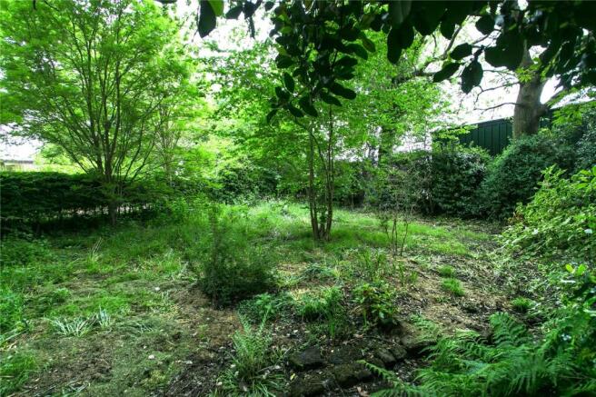 Wooded Area