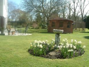 Garden 2