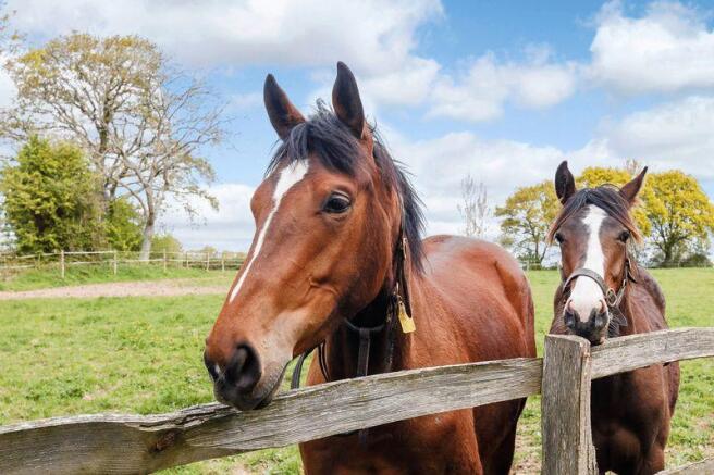 Paddocks