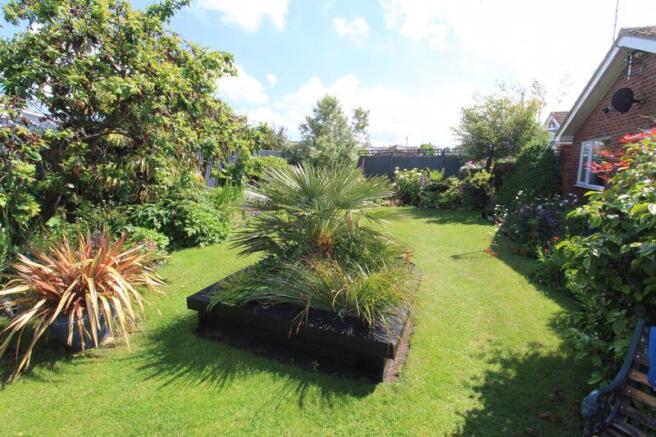 Garden 2