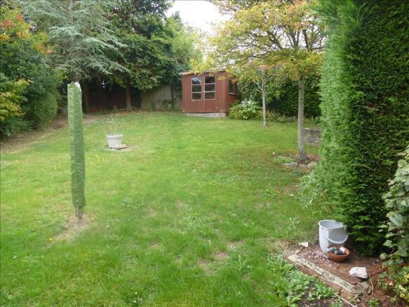 Photo 7