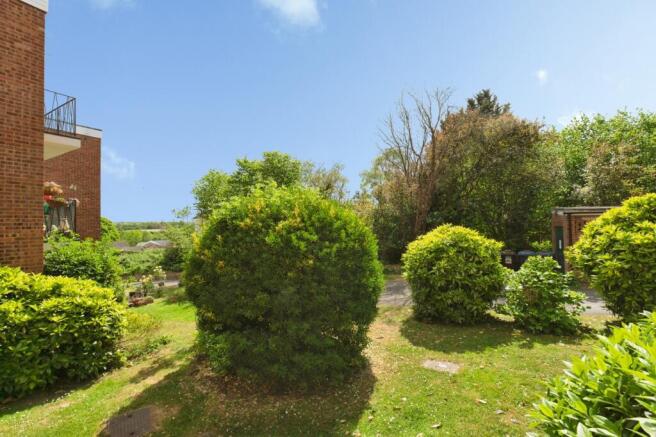 Communal Garden