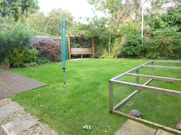 Photo 4